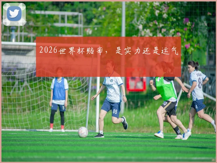 2026世界杯赔率,是实力还是运气