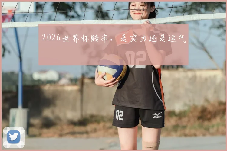 2026世界杯赔率,是实力还是运气
